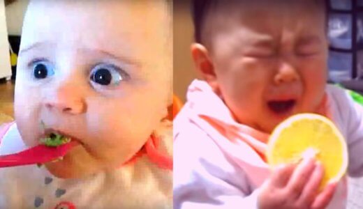 【癒し動画】赤ちゃんが初めて○○を食べた時のリアクション５選！これを見たあなたは自然と笑みがこぼれてしまうでしょう