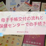 【札幌市】母子手帳交付の流れと保健センターでの手続きレポート
