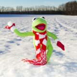 3歳の子供も安心！関東エリアのおすすめ雪遊びスポットで楽しい思い出を作ろう