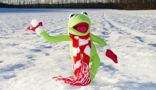 3歳の子供も安心！関東エリアのおすすめ雪遊びスポットで楽しい思い出を作ろう